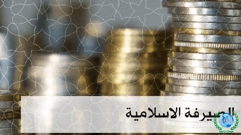 المالية الإسلامية ودورها في التنمية